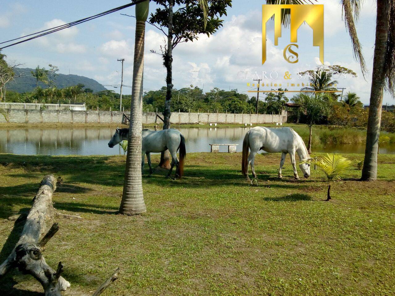 Fazenda à venda com 3 quartos, 22450m² - Foto 14