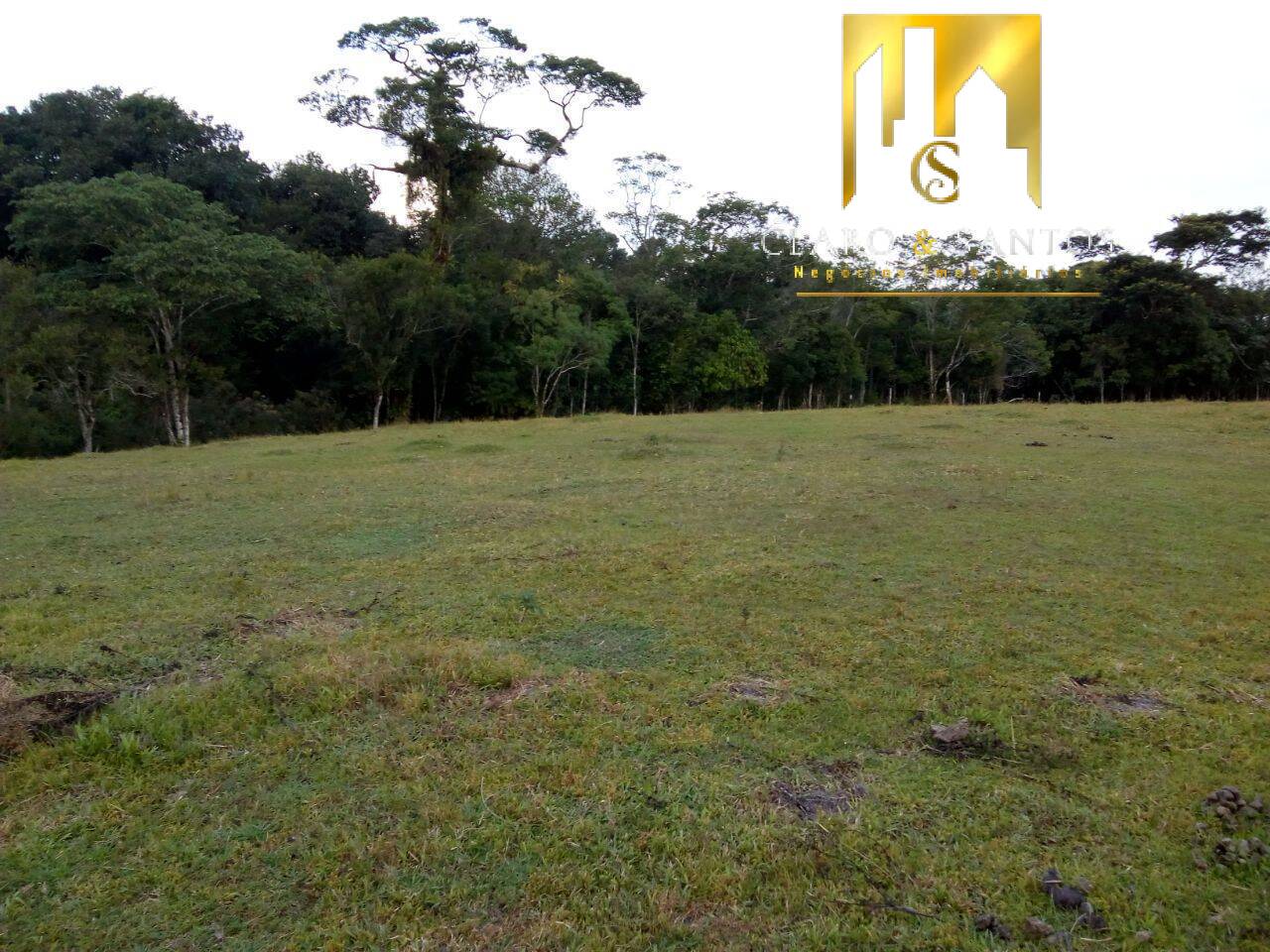 Fazenda à venda com 3 quartos, 22450m² - Foto 16