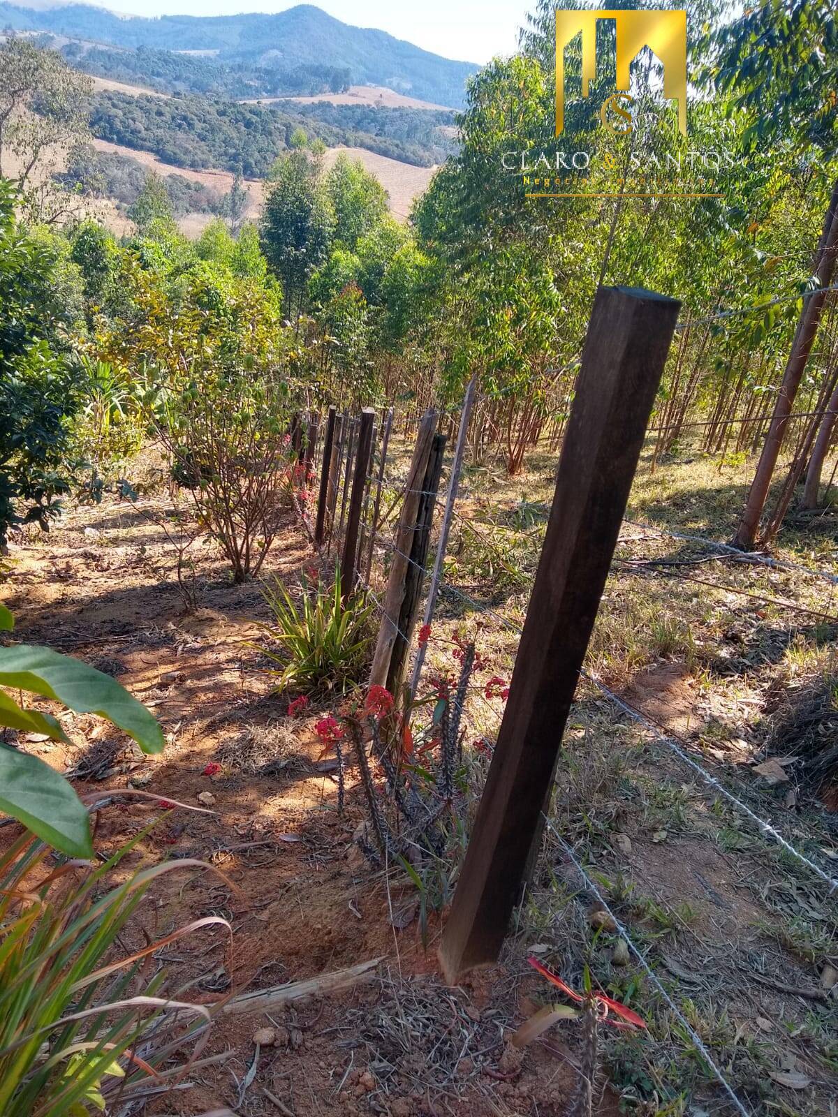 Fazenda à venda com 2 quartos, 250m² - Foto 15