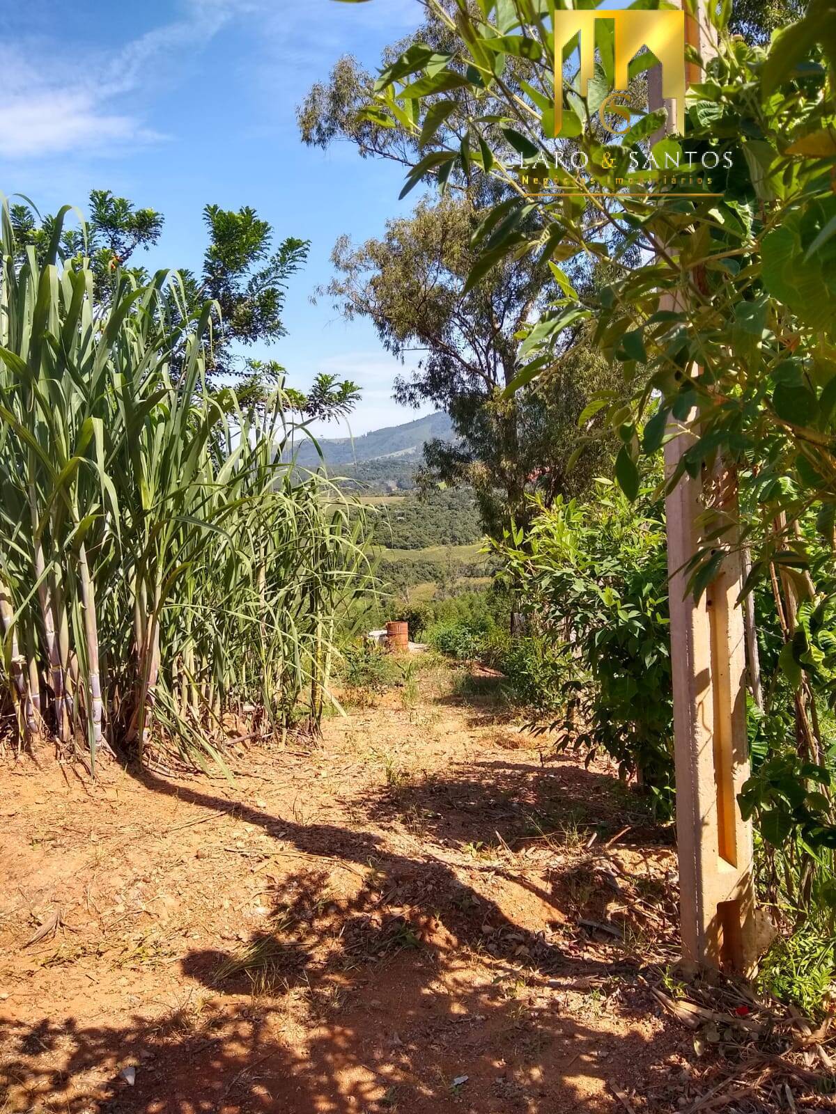 Fazenda à venda com 2 quartos, 250m² - Foto 16