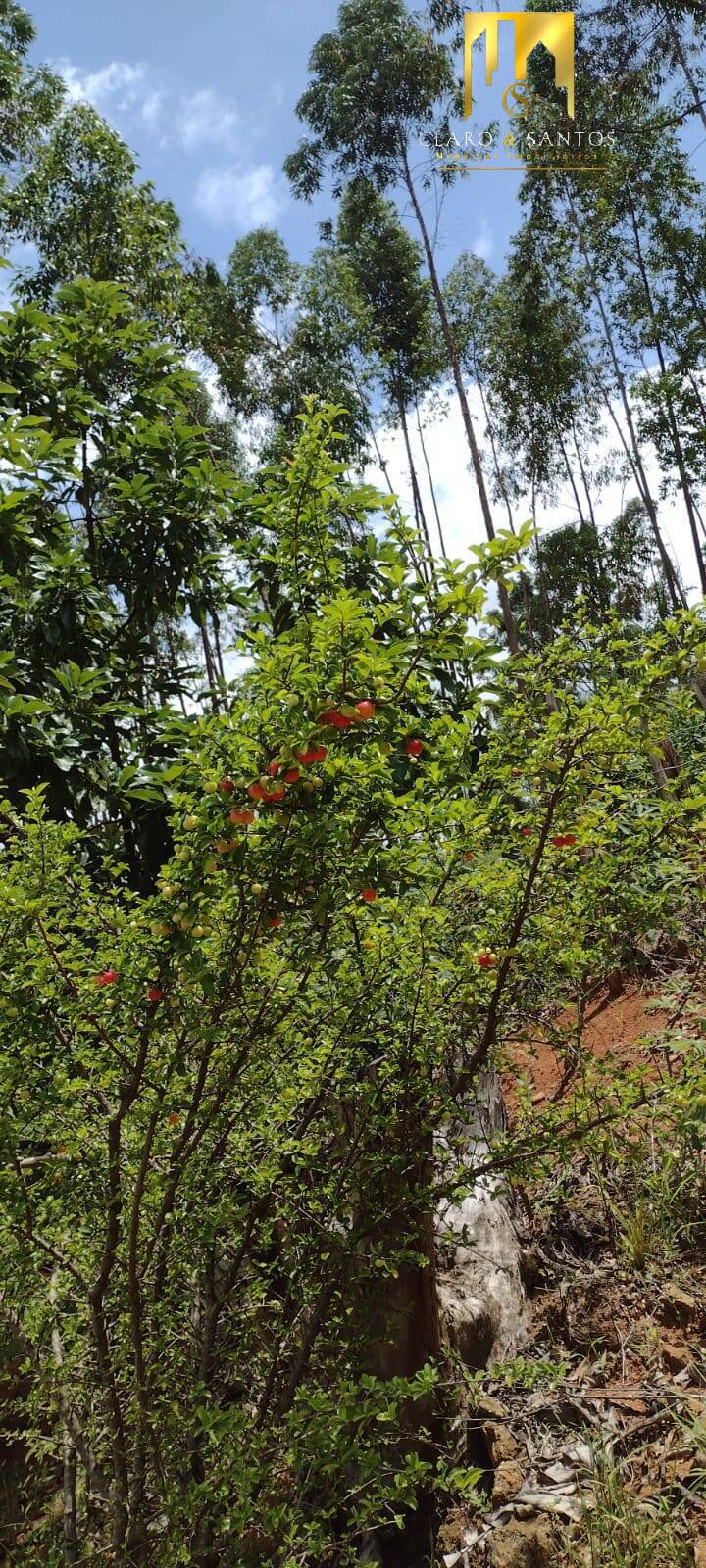 Fazenda à venda com 2 quartos, 250m² - Foto 24